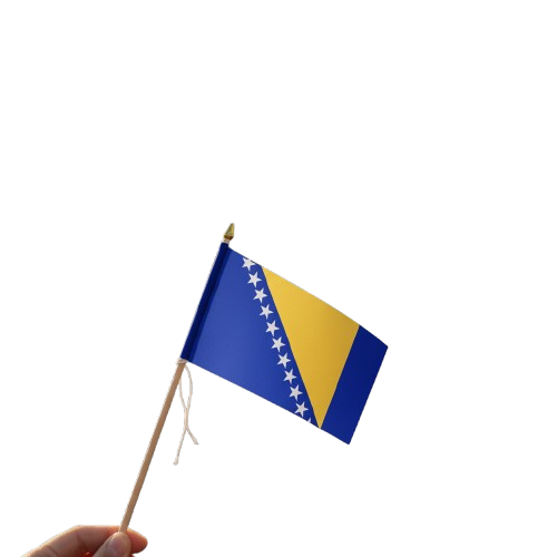 Bosnia Flag